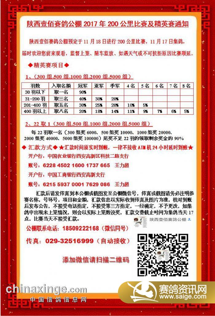 壹佰赛鸽公棚最新动态,引领赛鸽运动迈入新篇章