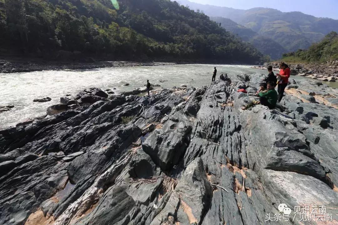 成都温江地区最新消息概览,地区动态更新与概览