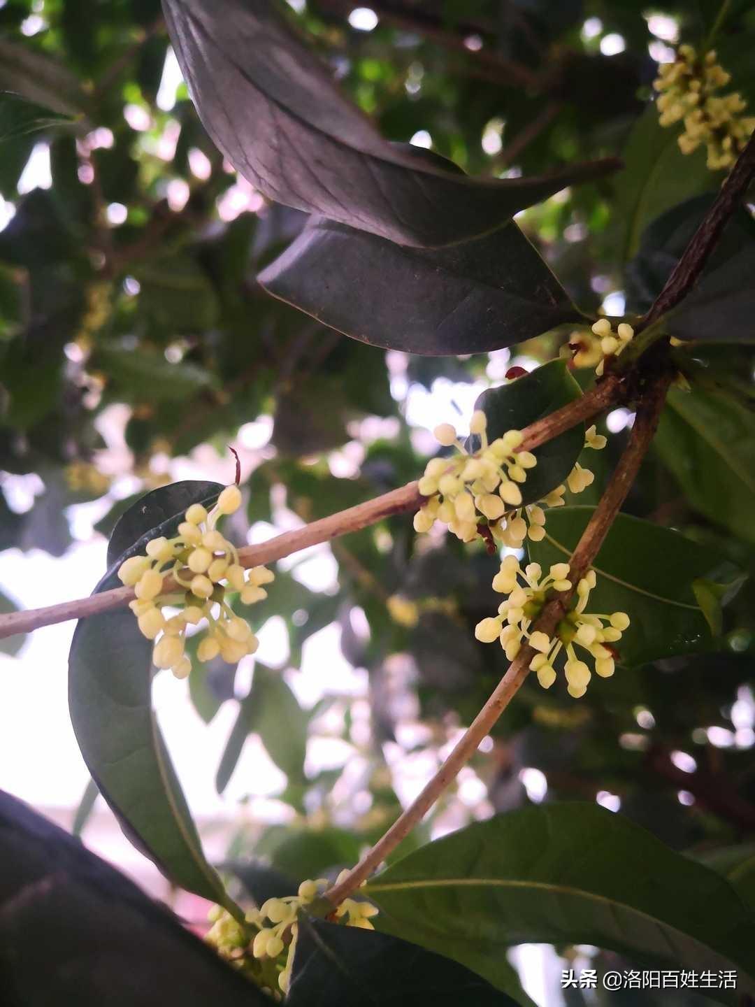 伊滨区5号小区最新新闻速递