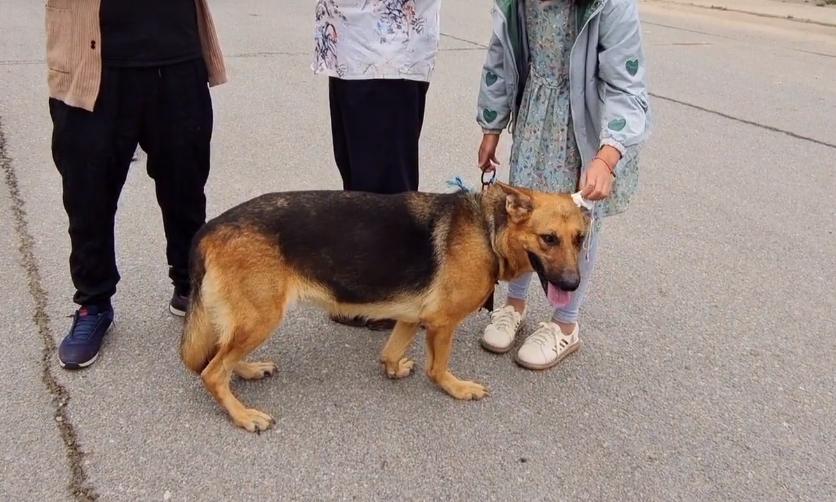 别踩白块2最新破解版,违法犯罪的警示与风险提醒