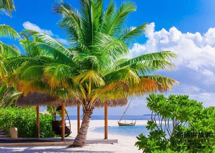 白小姐三肖三期必出一期开奖虎年,动态词语解释落实_网页版85.44.43