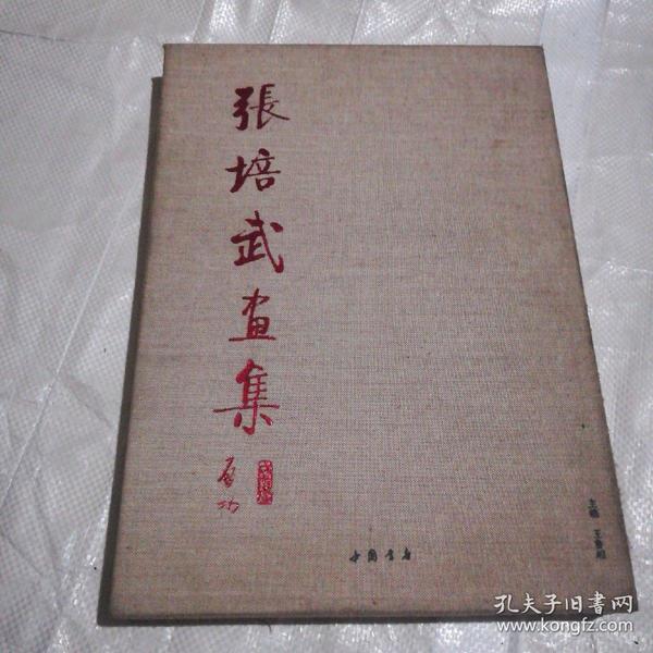 张绘武将军的最新动态,2016年最新消息揭秘