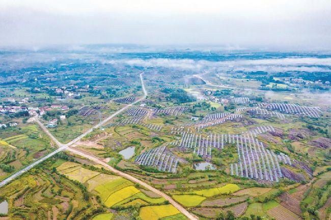 麻城中一电厂最新招聘启事