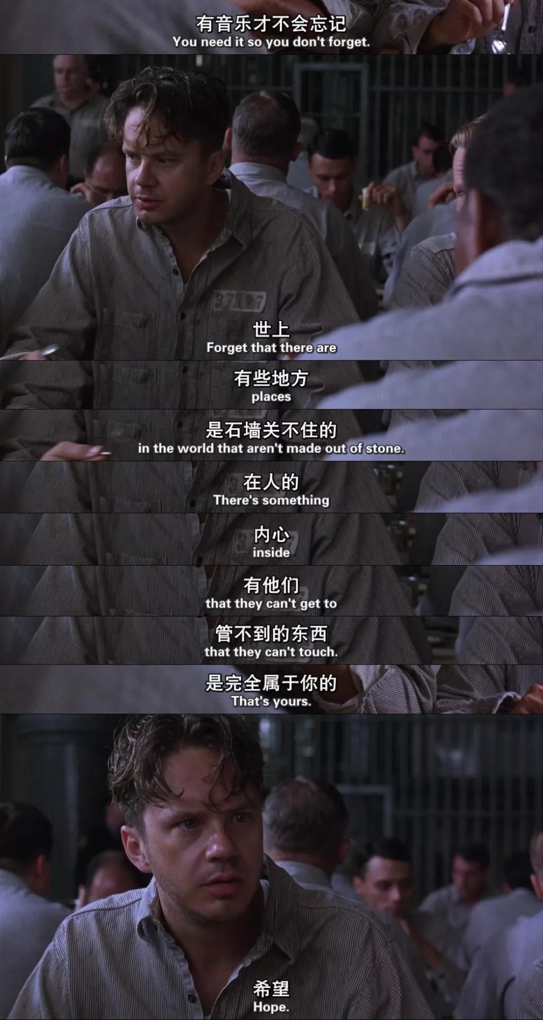 教练万岁最新章节列表及笔趣阁内容概述