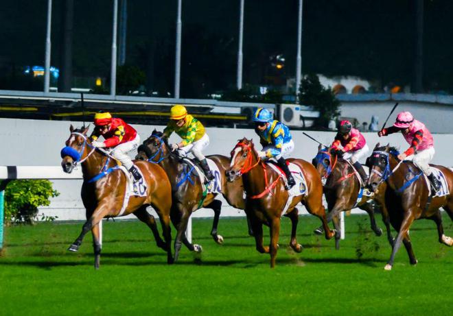 2024年香港今晚特马,2024年香港特别赛马夜今晚开启_冒险版1.3