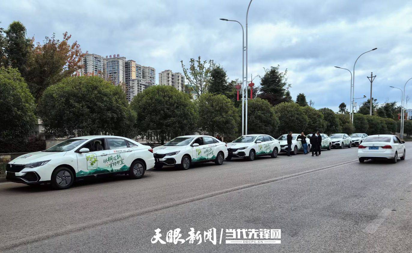 毕节网络约车最新消息速递,最新动态及新闻更新