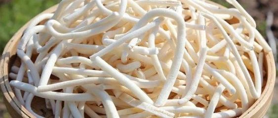 深入数据解释定义:通草的功效与作用能通输卵管堵塞·潮流版3.29