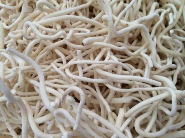 深入数据解释定义:通草的功效与作用能通输卵管堵塞·潮流版3.29