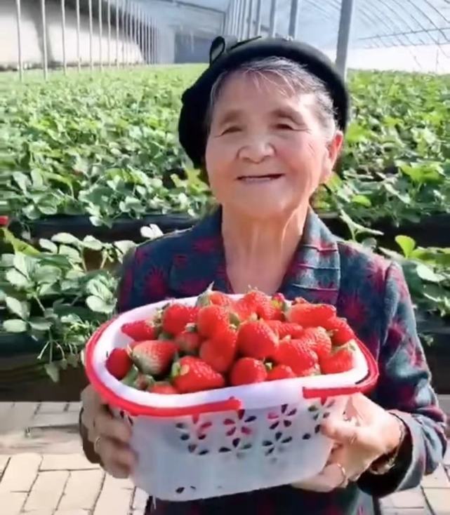 水果奶奶高手心水第一论坛,全方解答解释落实_专业版6.31