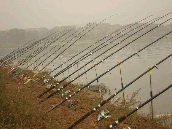 钓鱼装备升级全解析,最新全套装备推荐与指南