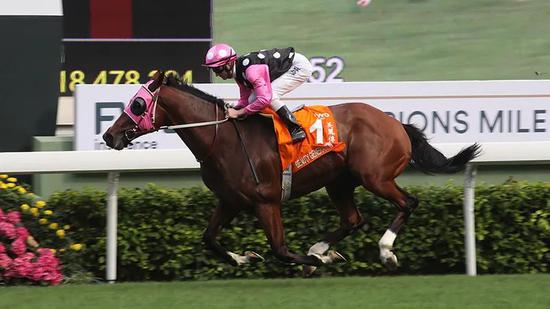 香港赛马会跑狗图,详实解答解释落实_冒险版68.666