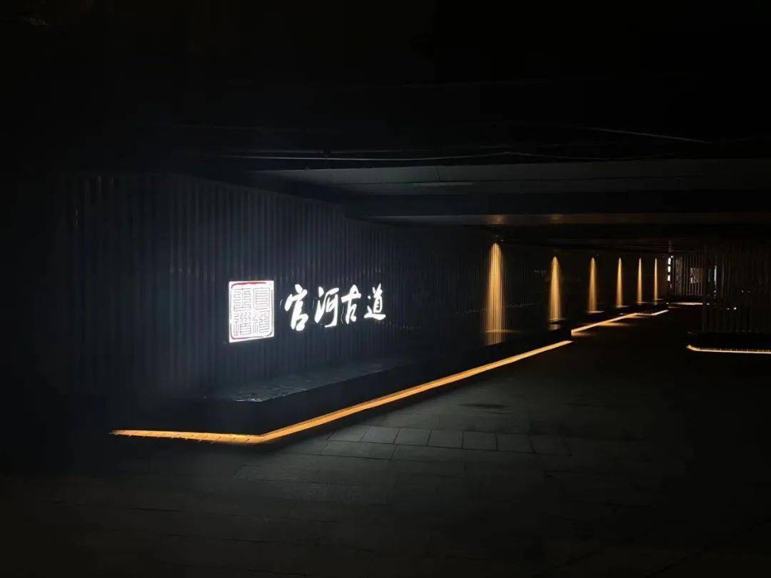 高天古道最新动态与消息速递