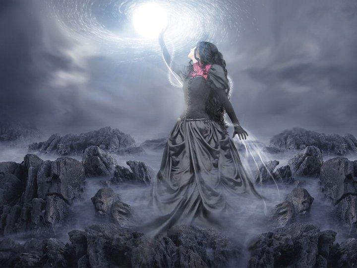 终极进化最新章节免费阅读,热血进化之旅