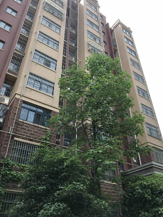 东乡最新地皮出售信息及详情