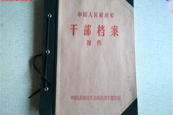 干部档案年龄最新规定详解,严格管理,不容篡改!