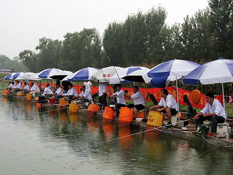 黄面面最新使用方法揭秘,轻松掌握黄面面的使用技巧