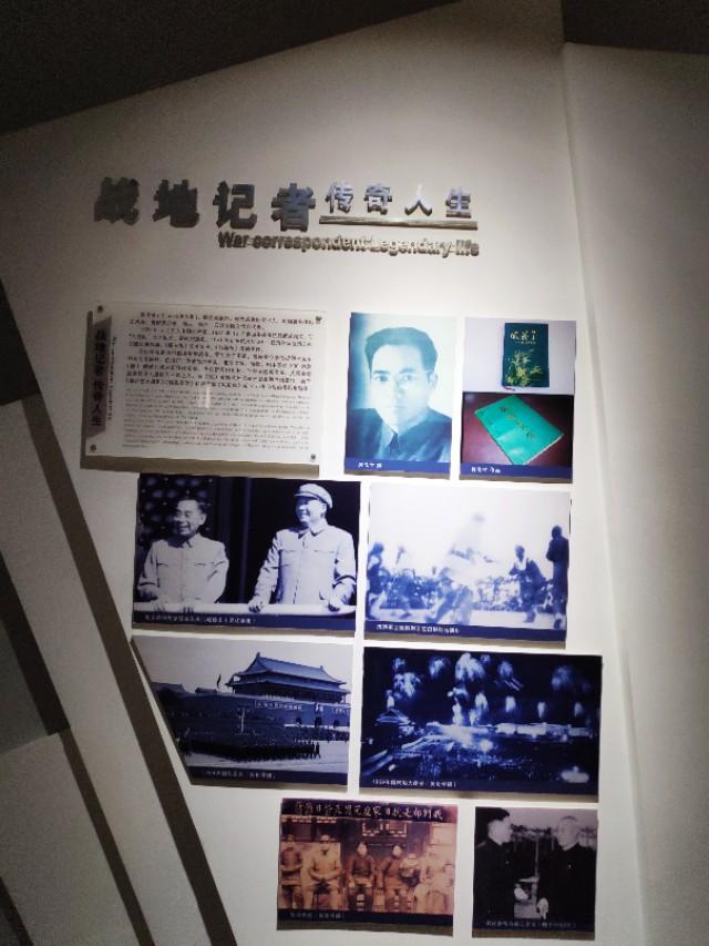 寿光墨龙最新动态及观点论述揭秘