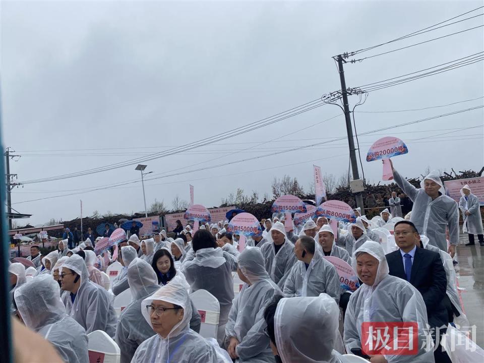 湖北广水最新新闻网,领略广水魅力与变迁的窗口