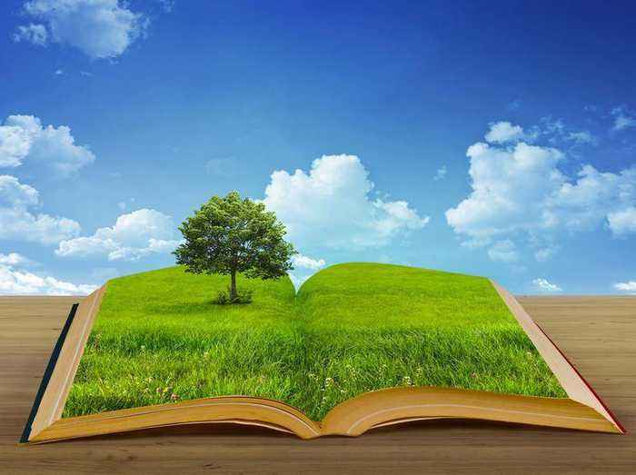 环保小新闻最新更新,关注环境保护的最新动态