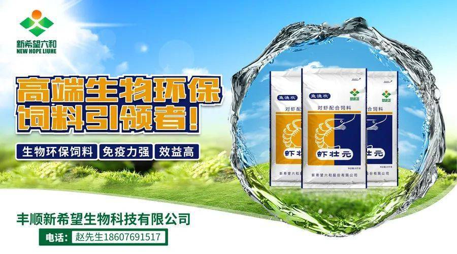 尿激酶粗品最新价格艾迪,自然美景探险之旅的焦点