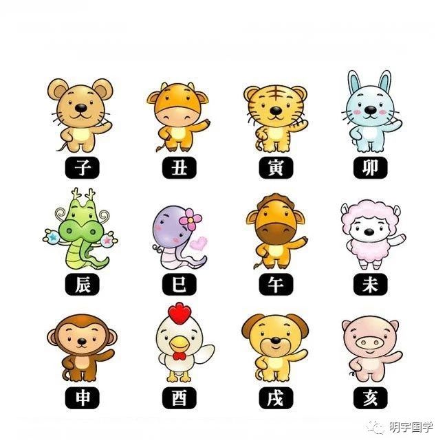 只为四来要提防,指什么生肖