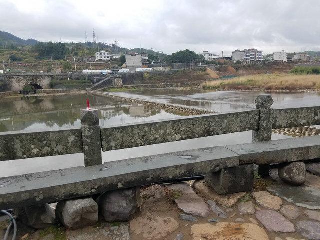 二五三四可定财,指什么生肖