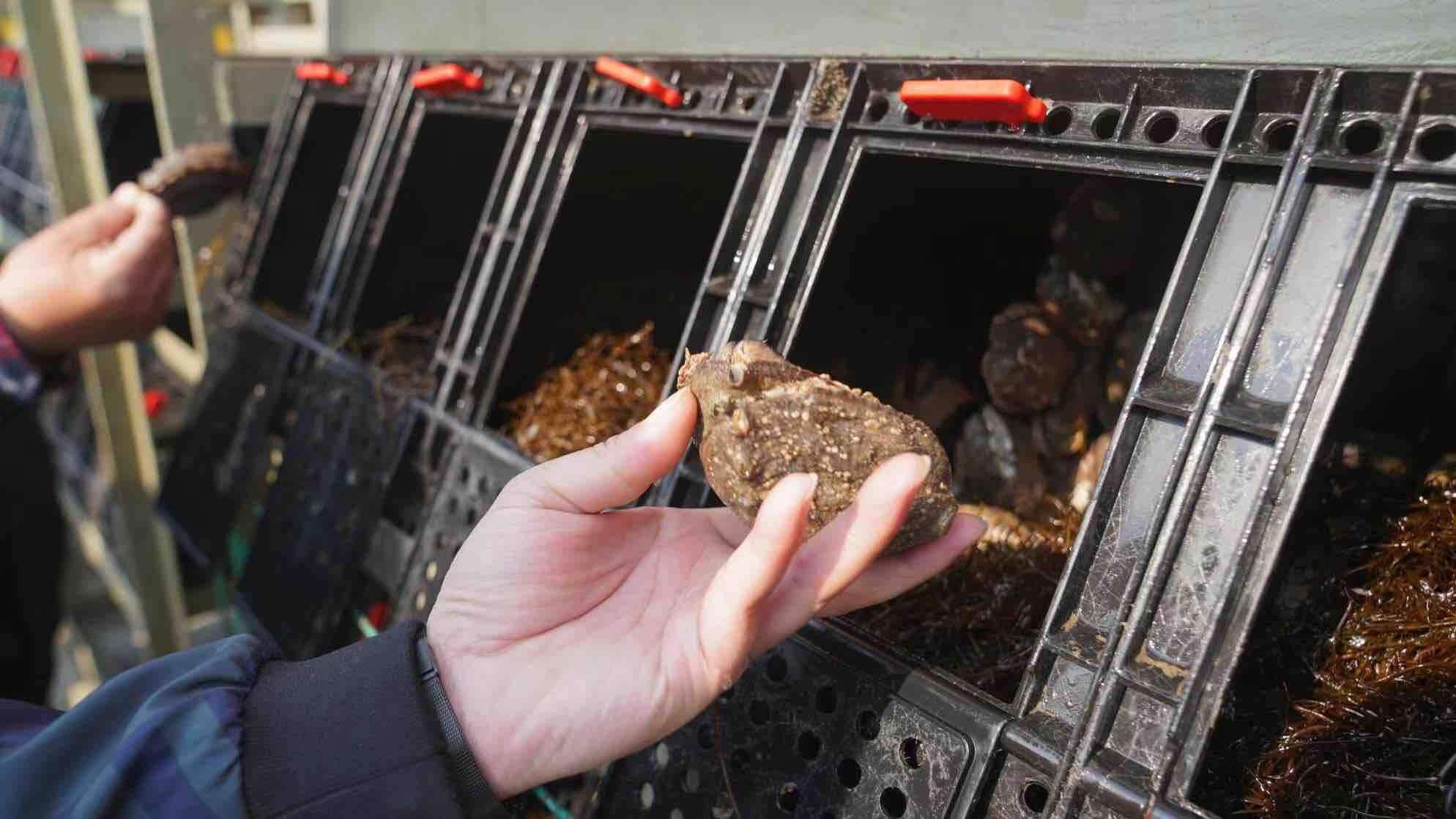 渔业水质标准 最新,渔业水质标准 最新解读