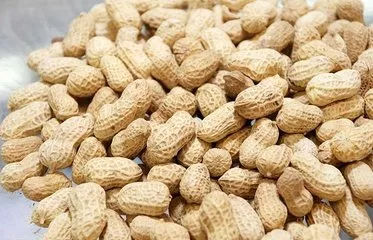 辽宁花生米最新价格,辽宁花生米最新价格大揭秘!吃货们快来围观!