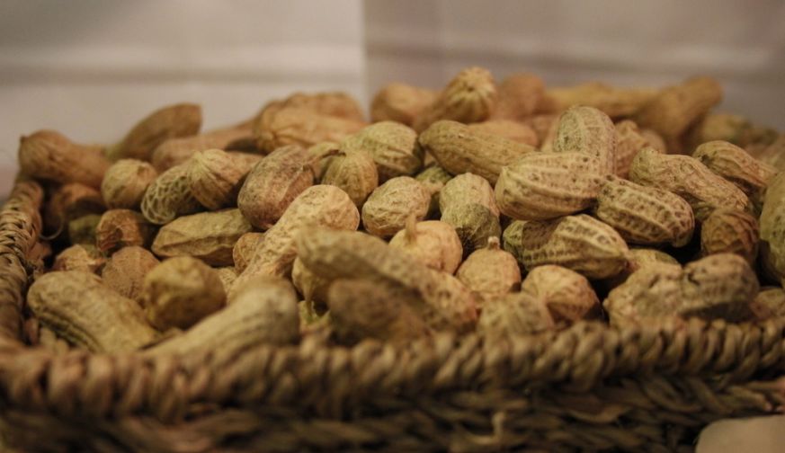 辽宁花生米最新价格,辽宁花生米最新价格大揭秘!吃货们快来围观!