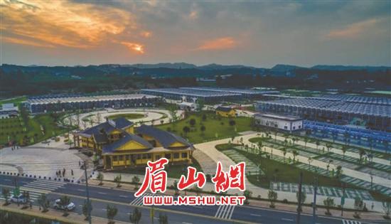 彭山贴吧最新,彭山贴吧最新动态,生活、人文与科技交织的繁华画卷