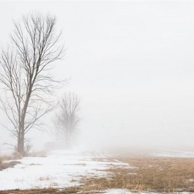 新澳门资料大全正版资料六肖_内江传化广场最新动态,快速产出解决方案_外观版6.57.839