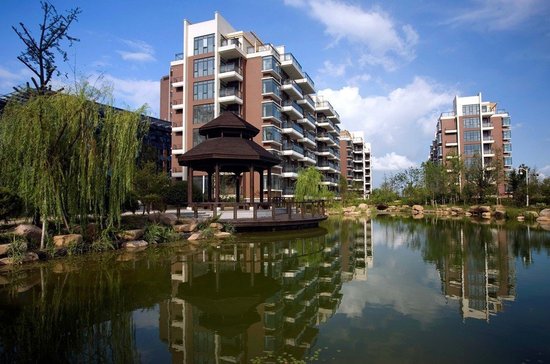 7777788888跑狗论坛版_最新鹿邑门面房出售,科学数据解读分析_高清晰度版5.65.607