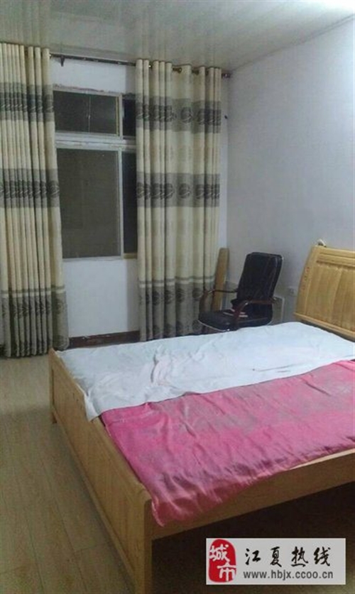 慈溪庵东私房出租最新,慈溪庵东私房出租新动态,探索温馨居住新篇章