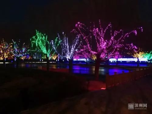 最新消息滨州那有小姐,最新消息揭秘滨州风情,探寻当地文化魅力与人文风情