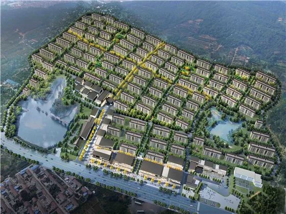 新澳2024年精准一肖一_党家片区旧村改造最新,系统分析方案设计_特色版6.90.591