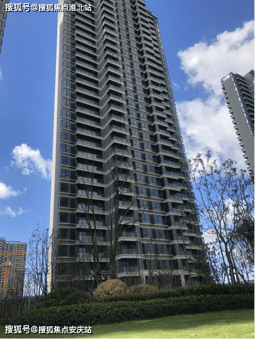 管家婆一肖一码正确_杭州湾卓越蔚蓝海岸最新房价,实践调查说明_运动版4.24.771