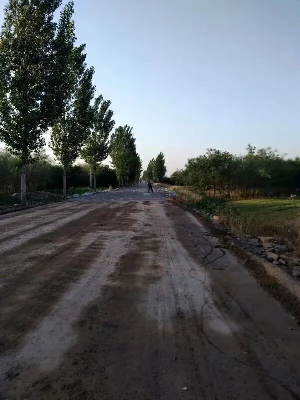 鸢飞路修路最新消息,效率评估方案_体现版1.64.725