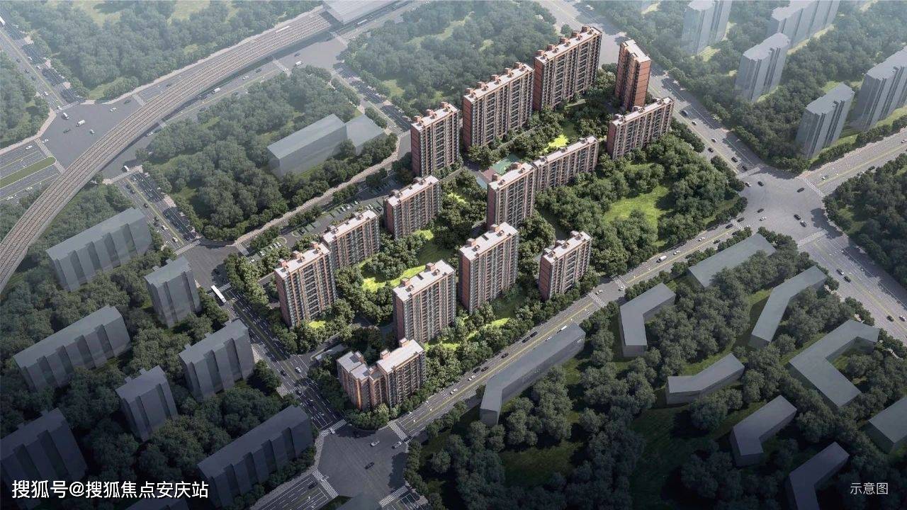 最新冠道如何——一种全面的观点分析