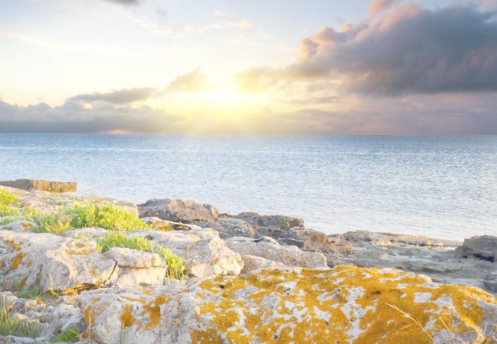 海花岛最新消息,探索自然美景的轻松之旅,寻找内心的宁静之地