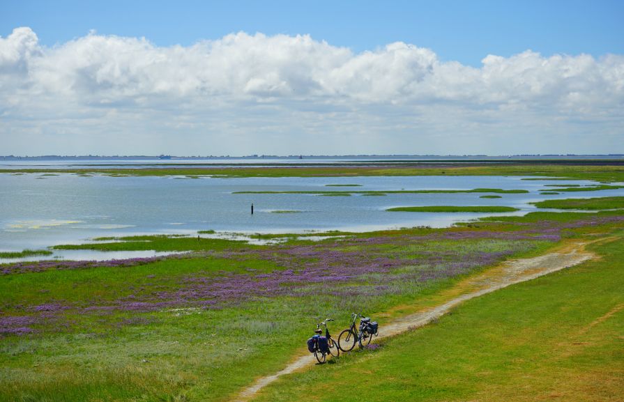 海花岛最新消息,探索自然美景的轻松之旅,寻找内心的宁静之地