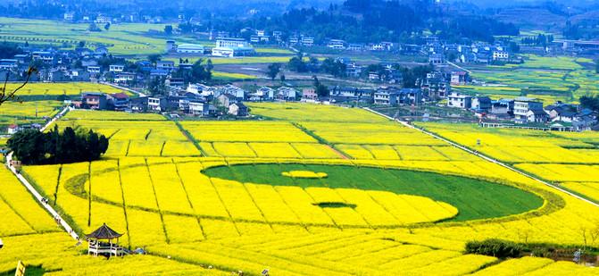潼南区最新消息,区域发展的多维视角与深度解析