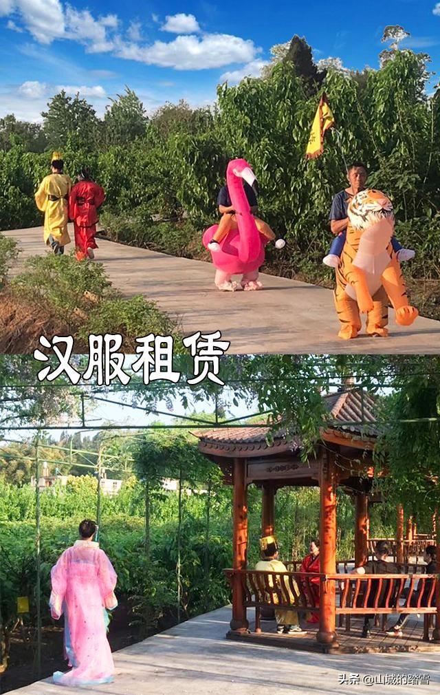 潼南区最新消息,区域发展的多维视角与深度解析