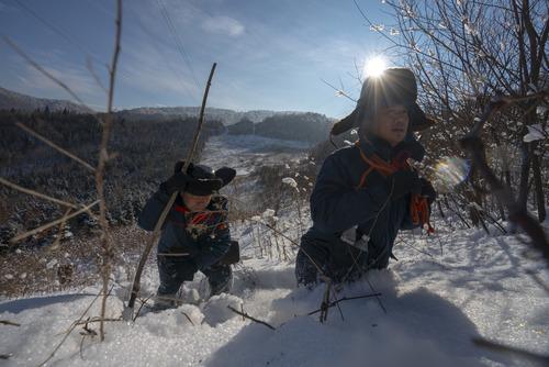 崴脚视频最新,探索自然美景的旅行,寻找内心的平静