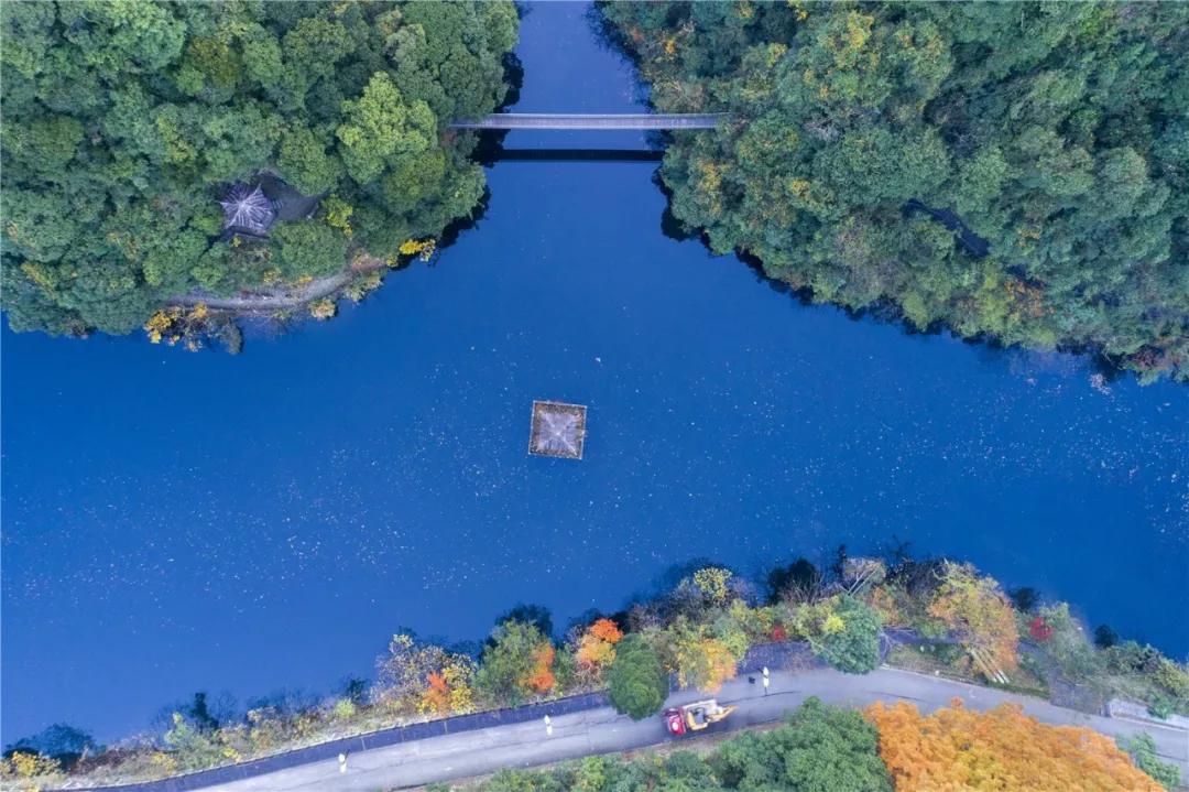 默认最新,一场自然美景的轻松旅行,寻找内心的平和与宁静