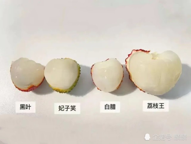 最新h网探秘,小巷中的隐秘美味