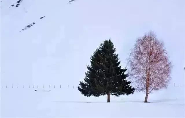 最新热门手游——科技之魂,重塑你的游戏世界!