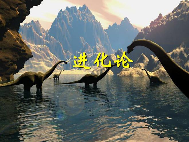 最新恐龙电影,一种文化现象的深度探讨