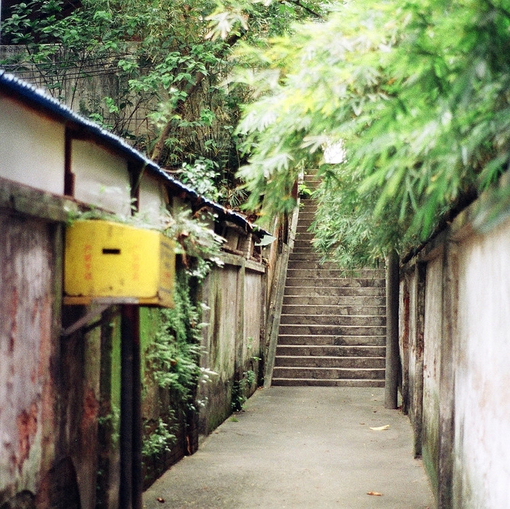 七次郎最新,小巷深处的独特风味