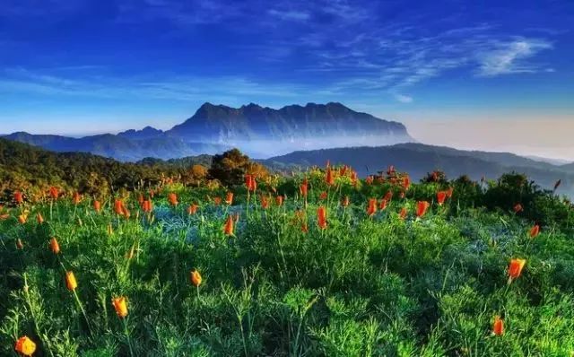 最新B2B,自然美景之旅,探寻内心的平和与宁静