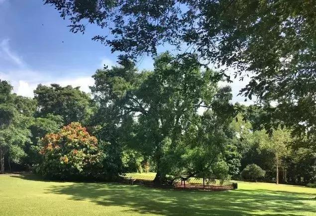 最新版五元,五元背后的温馨故事